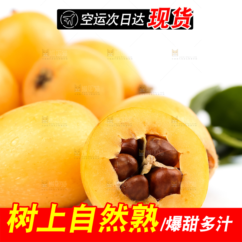 白底上放着攀枝花米易枇杷
