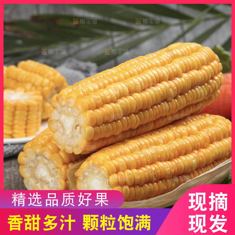 木底上放着一盘黄玉米