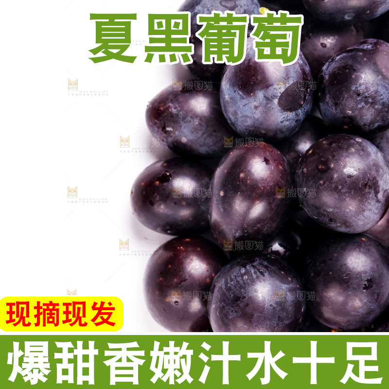 新鲜夏黑放在白底上