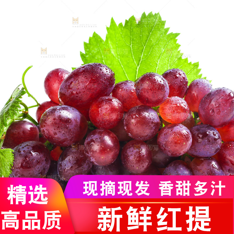 白底上的红提