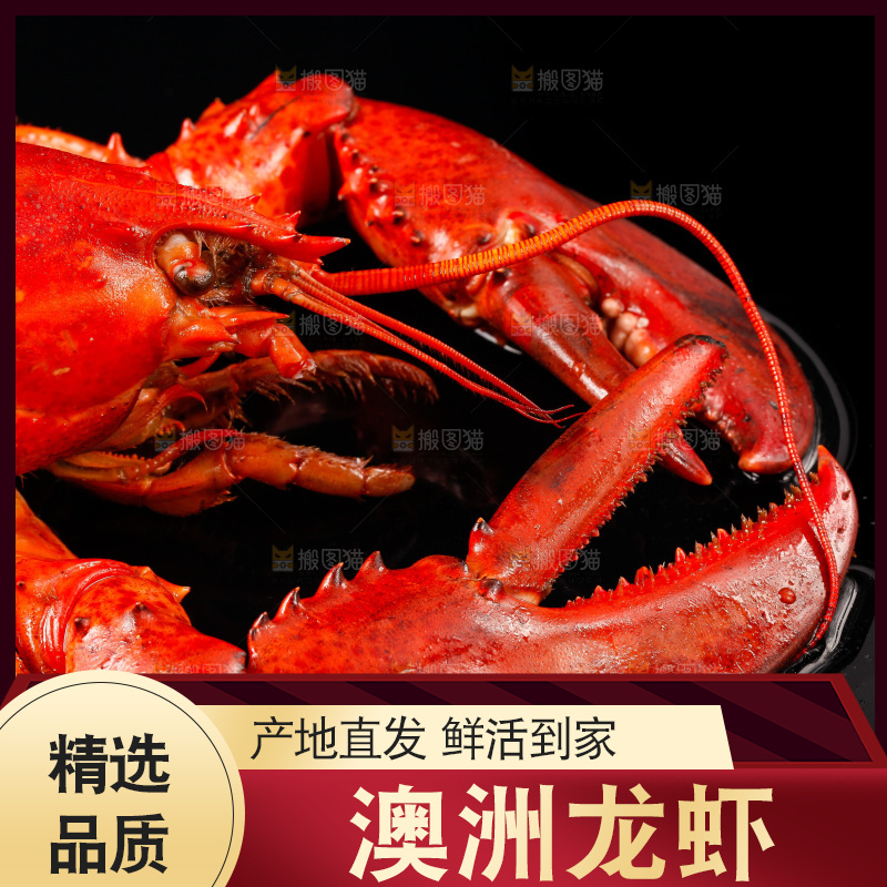 黑底上放着波士顿龙虾
