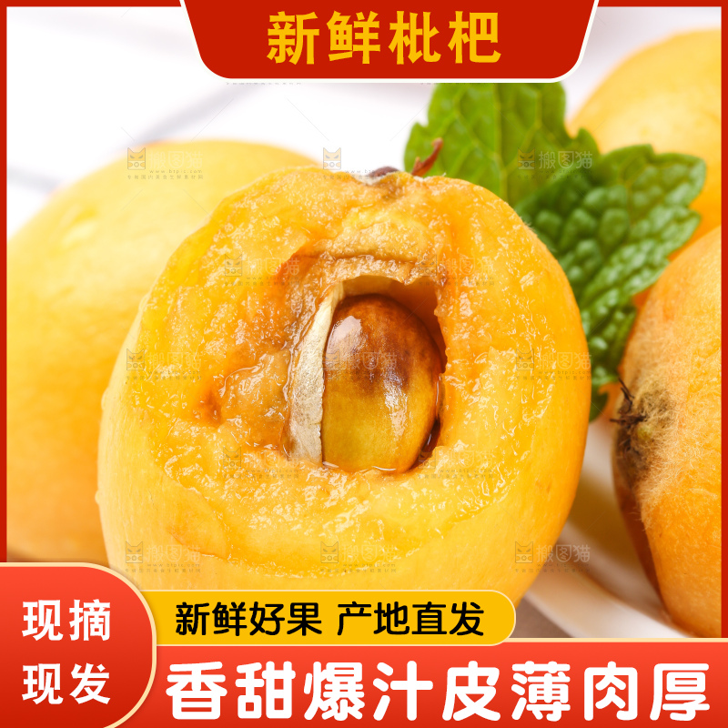 白格子底上的云南蒙自枇杷