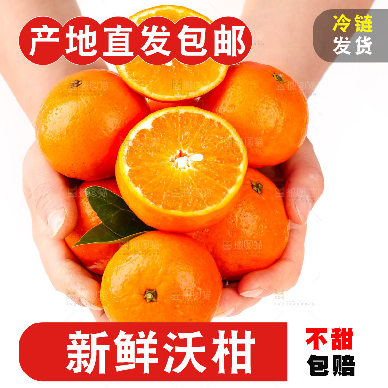 手里拿着新鲜沃柑