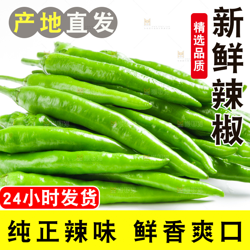 白底上摆放着新鲜杭椒