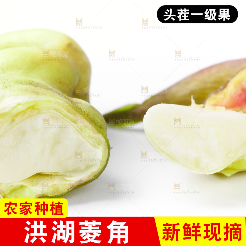 浅底上的新鲜菱角