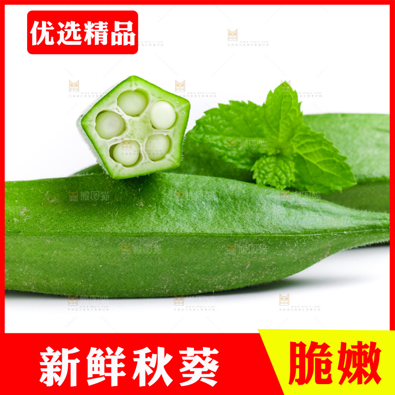 白底上的新鲜秋葵