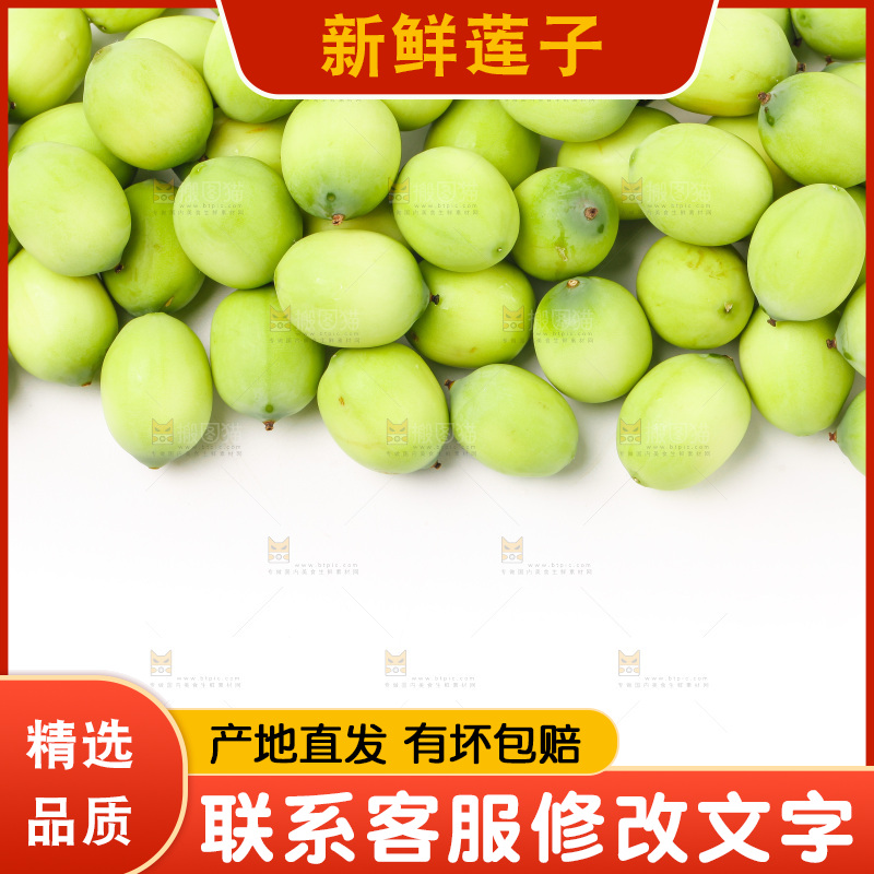 白底上放着湖北新鲜嫩莲子
