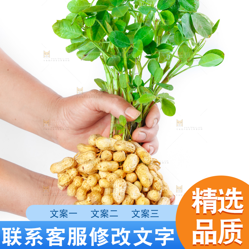 手上捧着湿花生