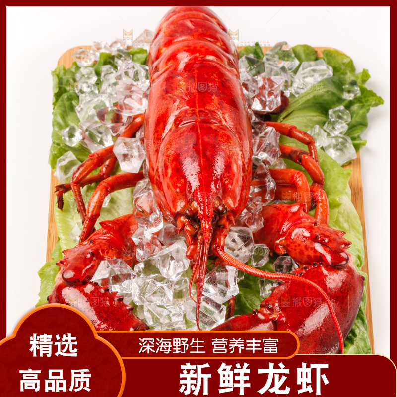 白底上放着一盘波士顿大龙虾