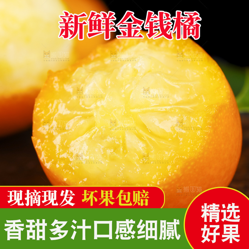 黑底上的小金桔