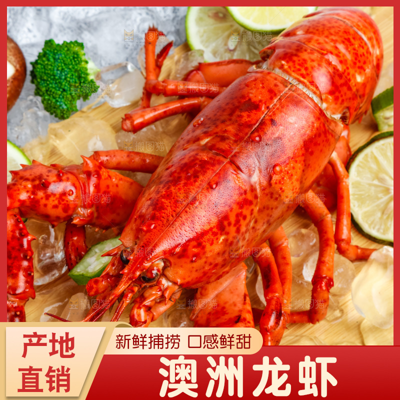 石板上的波士顿大龙虾