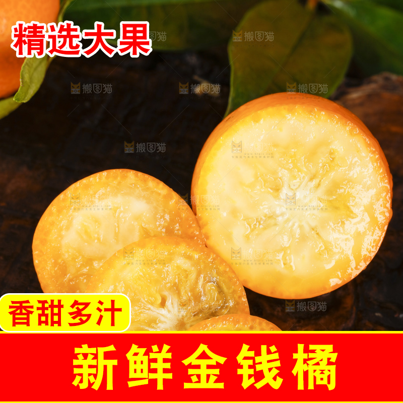 黑底上的小金桔