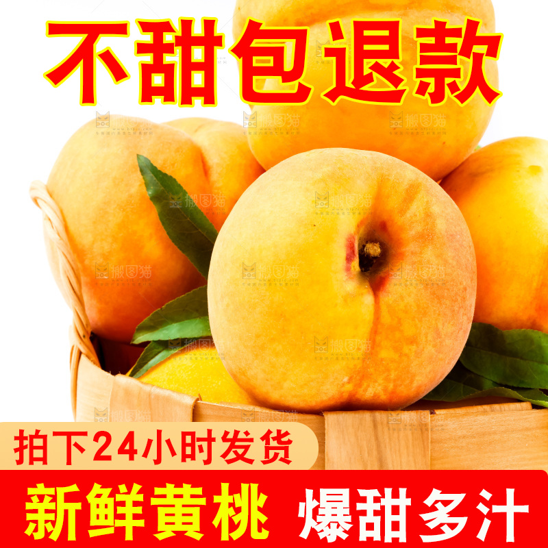 一筐新鲜黄桃放在白底上