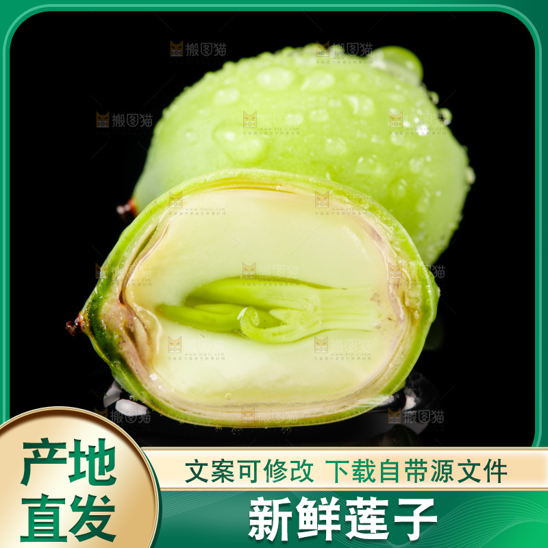 黑底上放着新鲜莲子