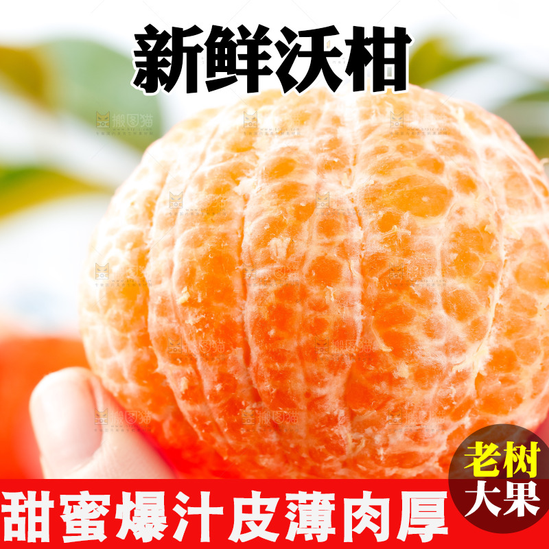 手里拿着新鲜沃柑