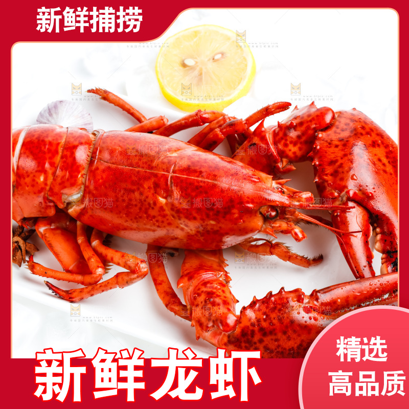 浅底上放着波士顿大龙虾