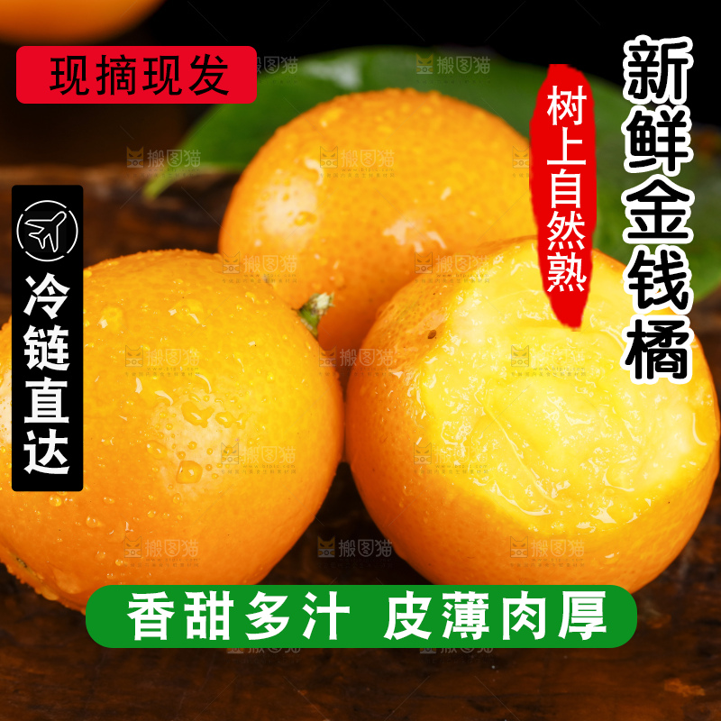 黑底上的小金桔