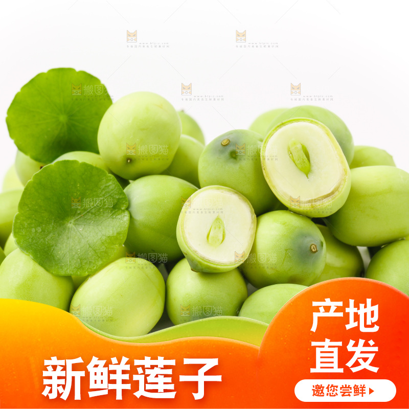 白底上放着湖北新鲜嫩莲子