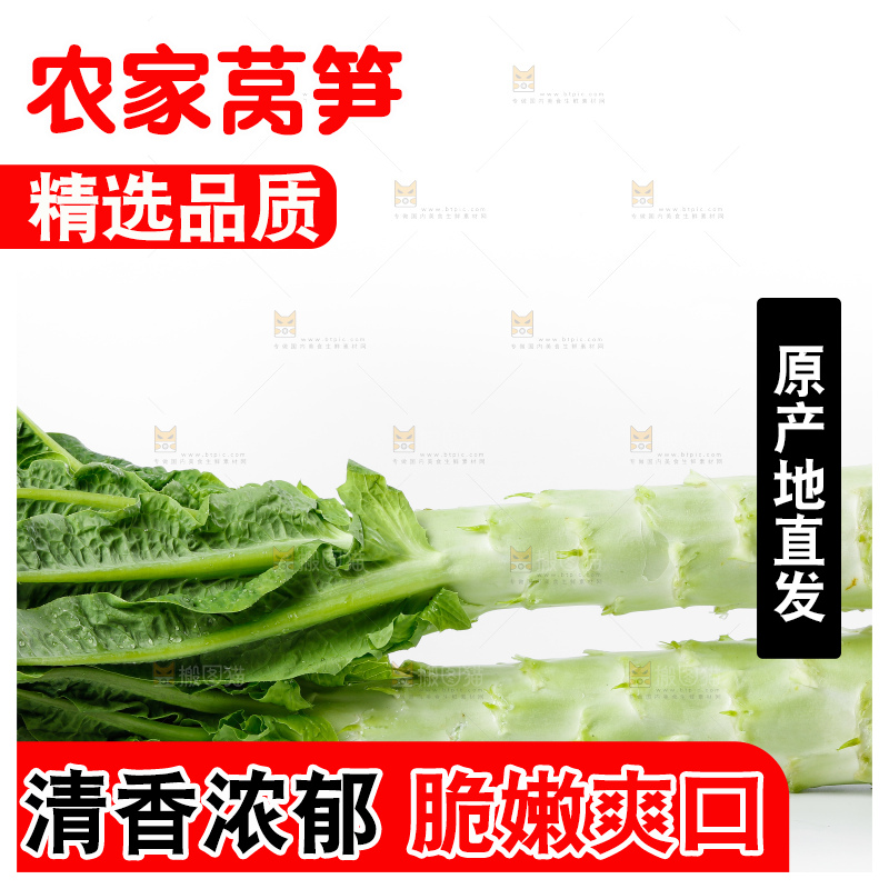 白底上放着莴笋