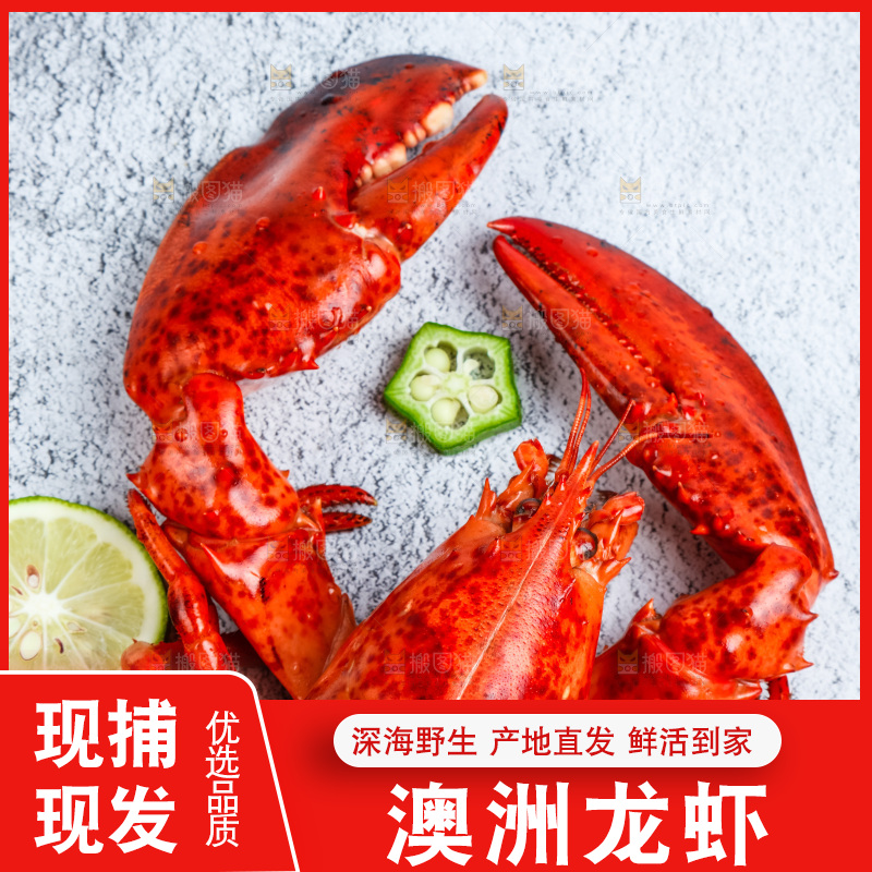 石板上的波士顿大龙虾