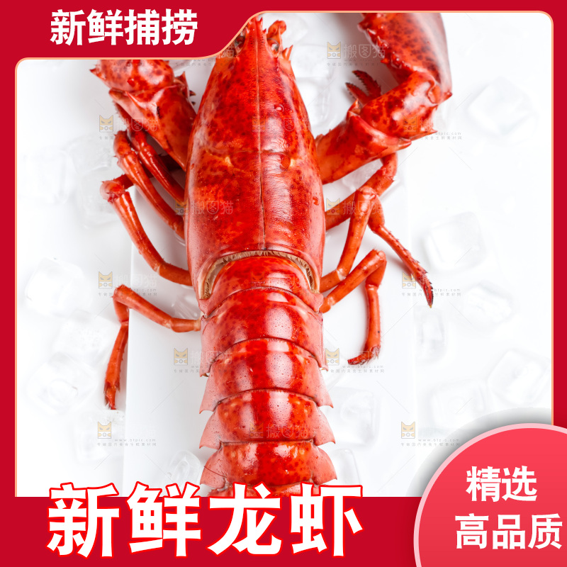 白底上放着大龙虾