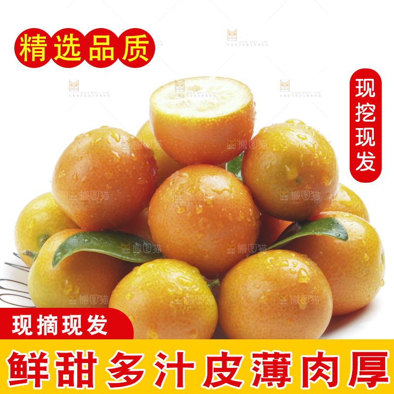 盘子里装着新鲜金钱桔