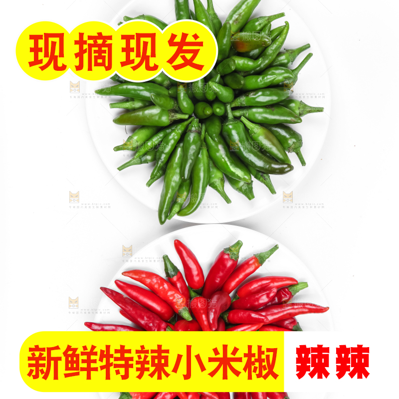 白底上摆放着广西小米椒