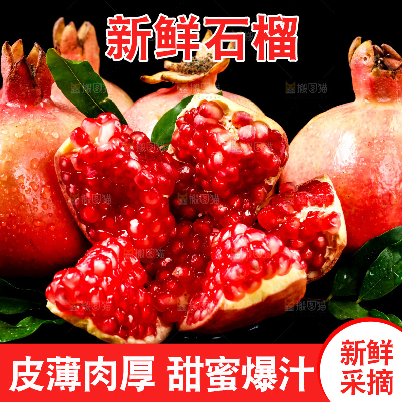 黑底上放着突尼斯软籽石榴