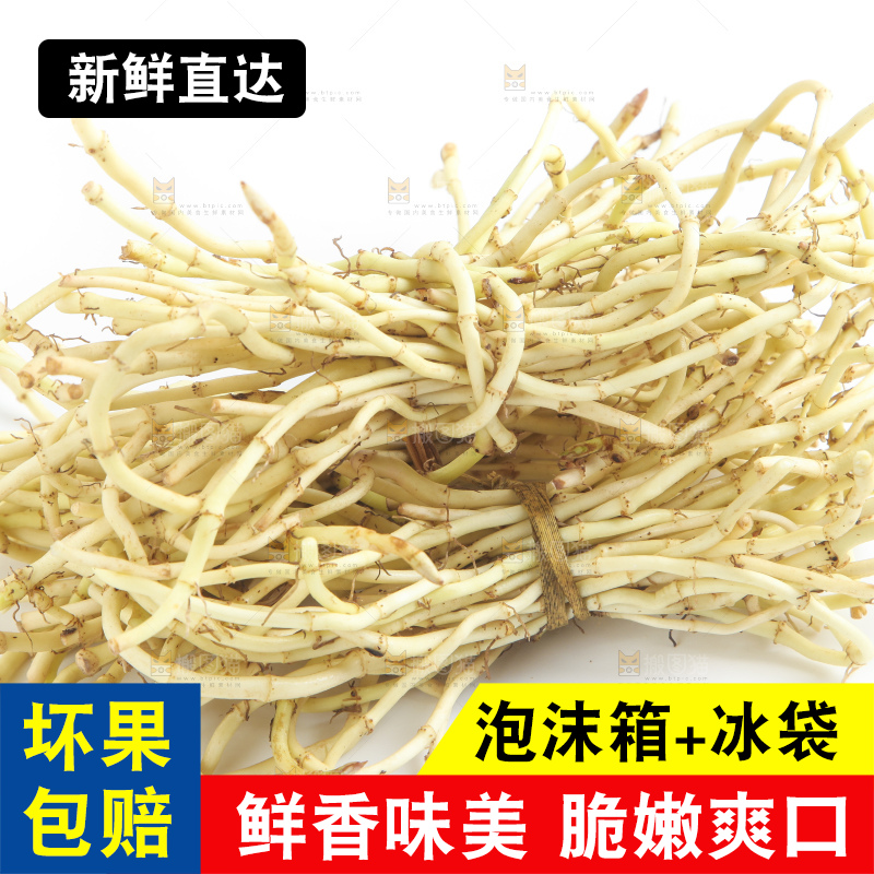 白底上的鱼腥草