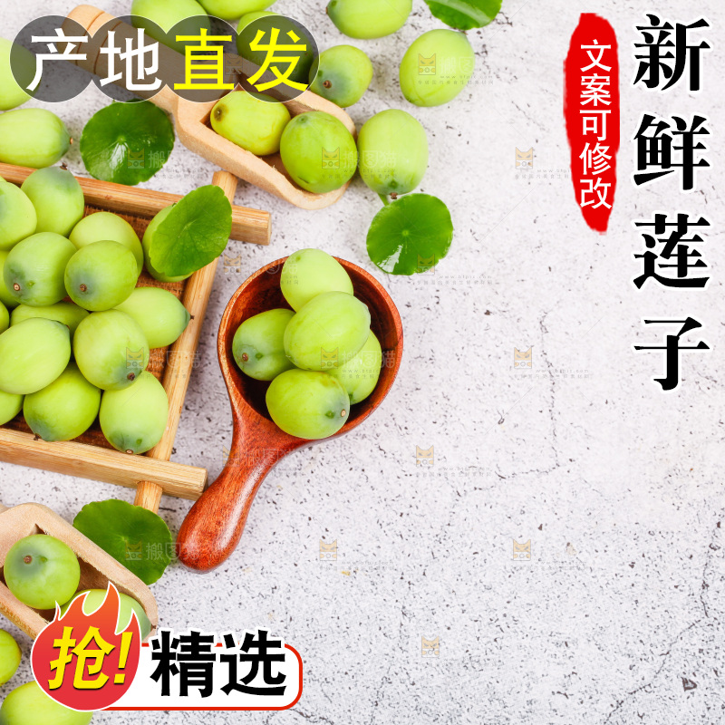 石板上的新鲜莲子