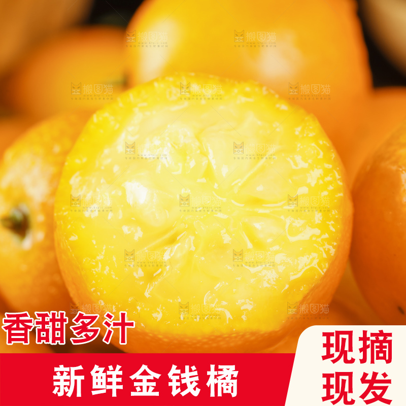 黑底上的小金桔