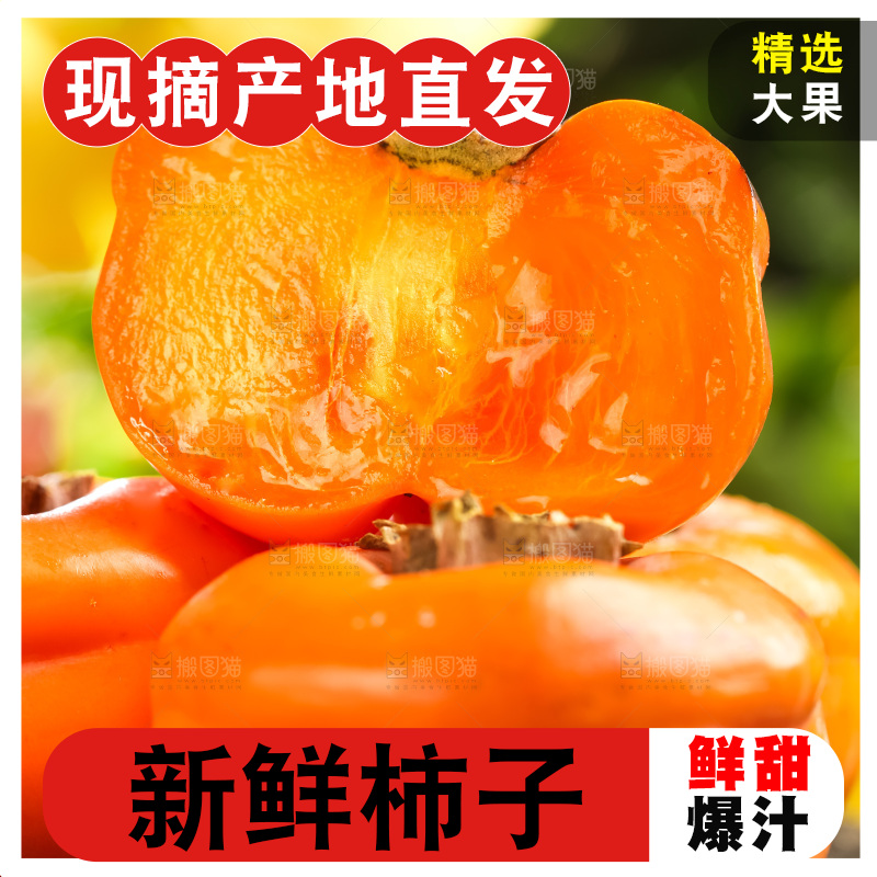 木底上的磨盘大柿子