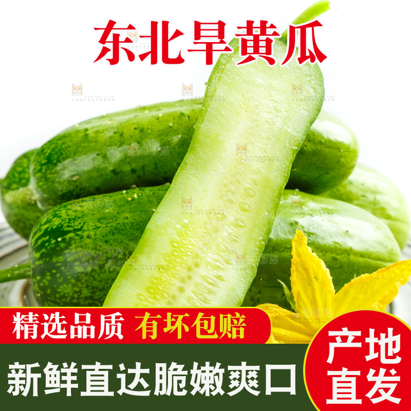 盘子里的东北旱黄瓜
