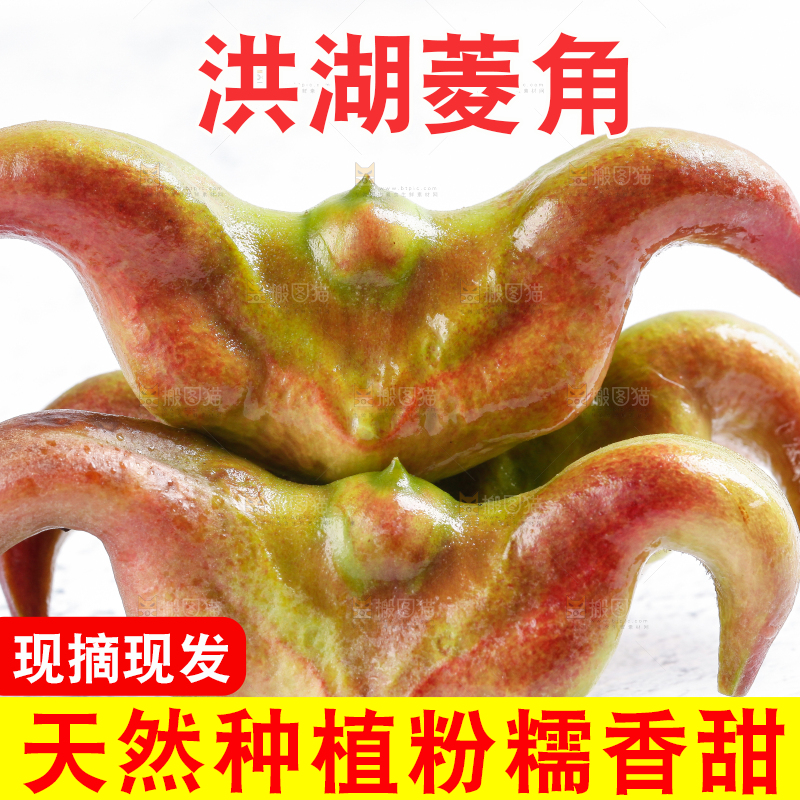 白底上的菱角