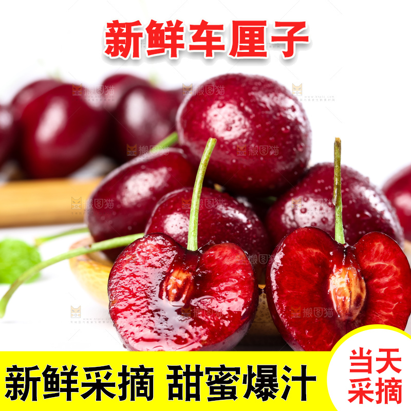 白底上的新鲜车厘子