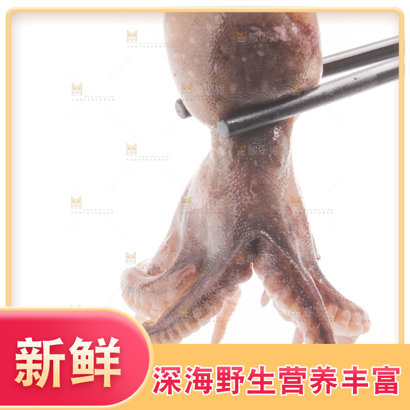 筷子上夹着八爪鱼