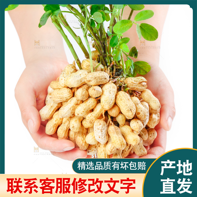 手上捧着湿花生