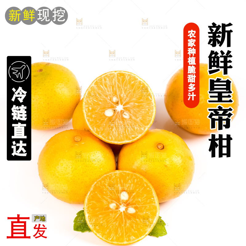 白底上放着一堆新鲜皇帝柑