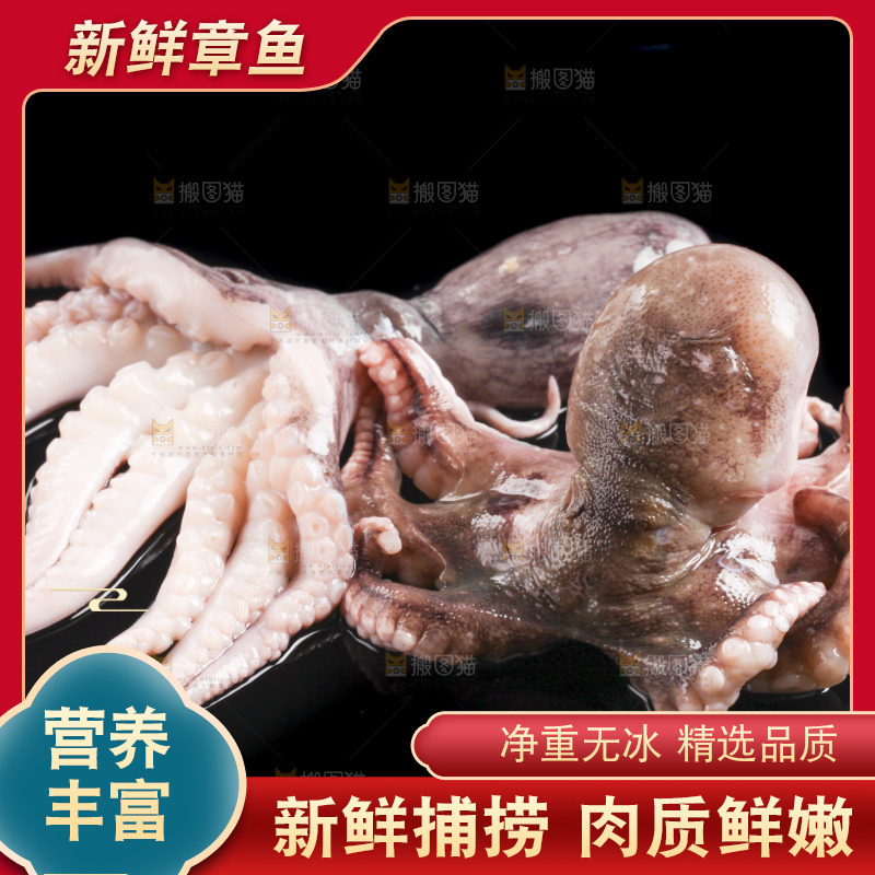 黑底上放着大连章鱼