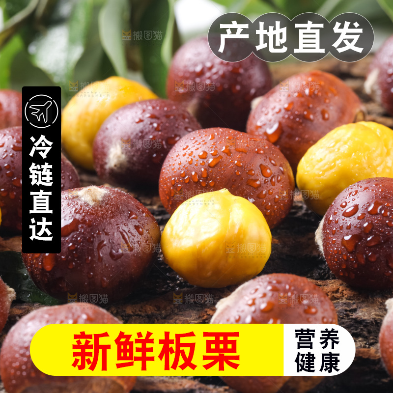 木底上的毛栗子