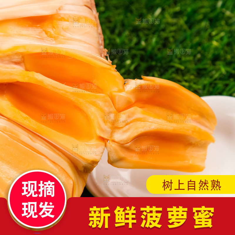 草地上的红心菠萝蜜