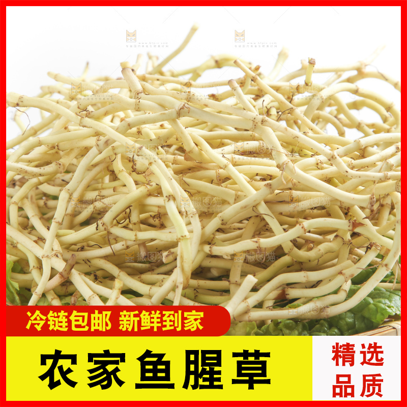 篮子里装着鱼腥草