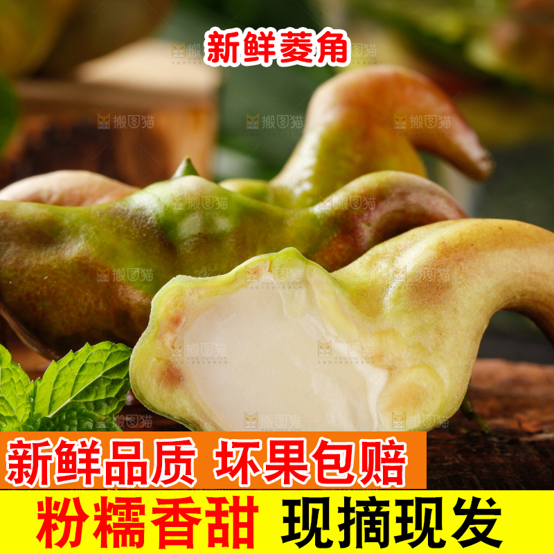深底上的菱角