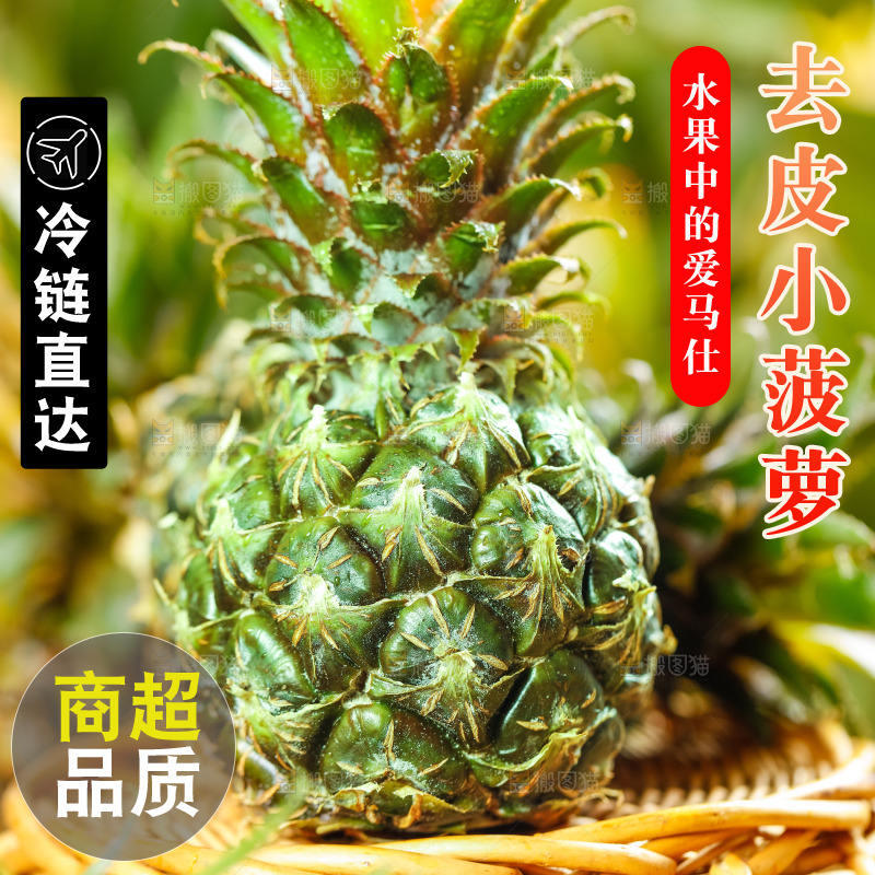 篮子里的新鲜小菠萝