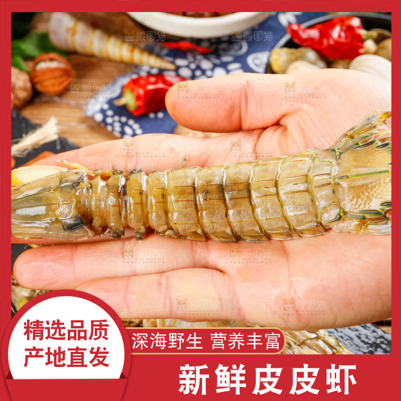 手里拿着琵琶虾