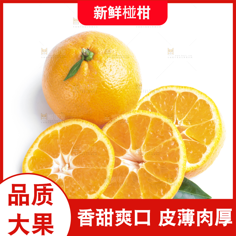 白底上放着椪柑