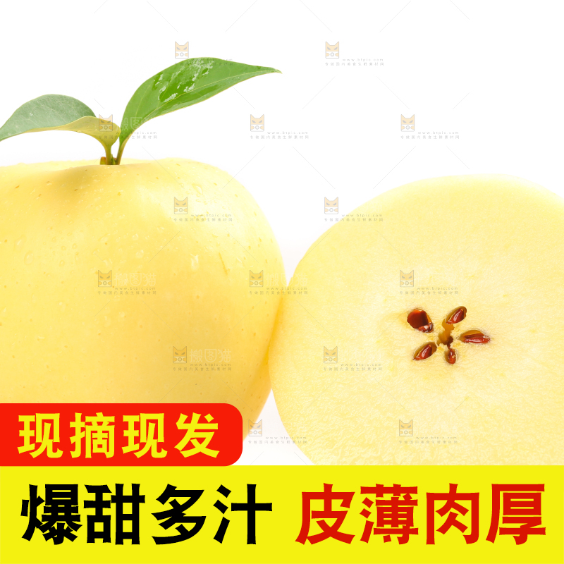 白底上摆放着黄金帅