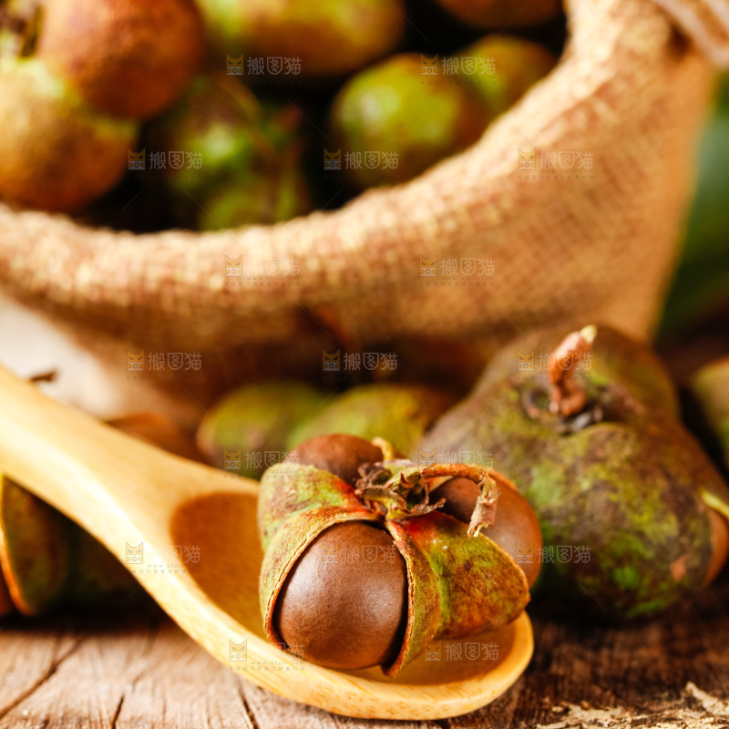 袋子里装着茶树果