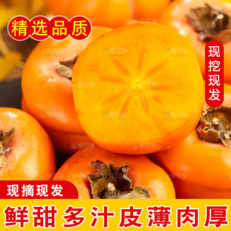 黑石板上放着易县磨盘柿