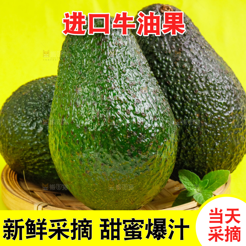 浅底上放着墨西哥牛油果